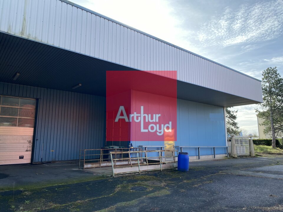 LOCAL D'ACTIVITE - ENTREPOT à Vendre