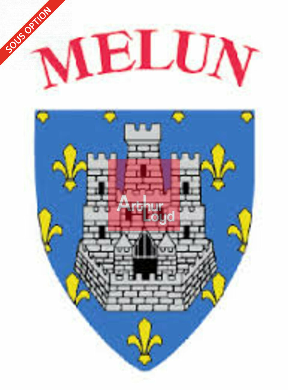 LOCAL COMMERCIAL à Vendre<br>MELUN - 