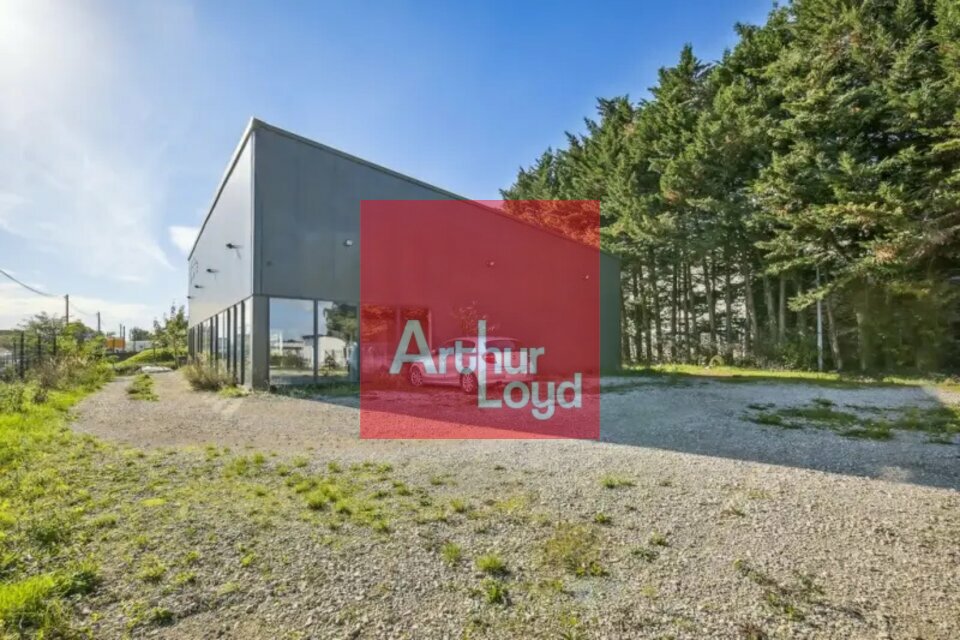 LOCAL D'ACTIVITE<br>ENTREPOT à Vendre<br>LINAS - 